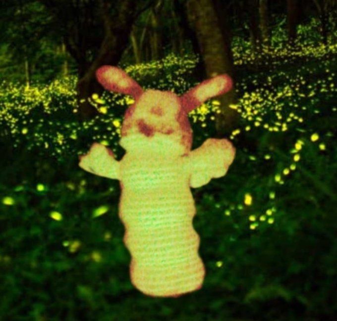 La luciole amoureuse et son cocon  